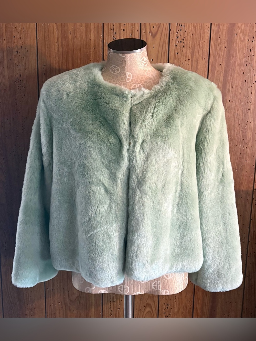 Women's Mint Faux Fur Teddy Jacket - Plush Collarless Coat